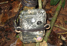 One of the camera traps installed to capture footages of rhino